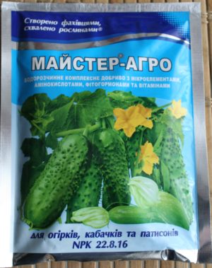 [:ua]Майстер-Агро для огірок, кабачок, патисон NPK 22.8.16 100 г[:ru]Мастер-Агро для огурец, кабачок, патисон NPK 22.8.16 100 г[:]