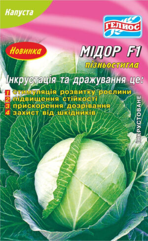Насіння капусти білокачанної Мідор F1 50 шт. Інк.