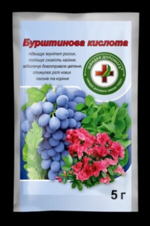 Бурштинова кислота 5 г